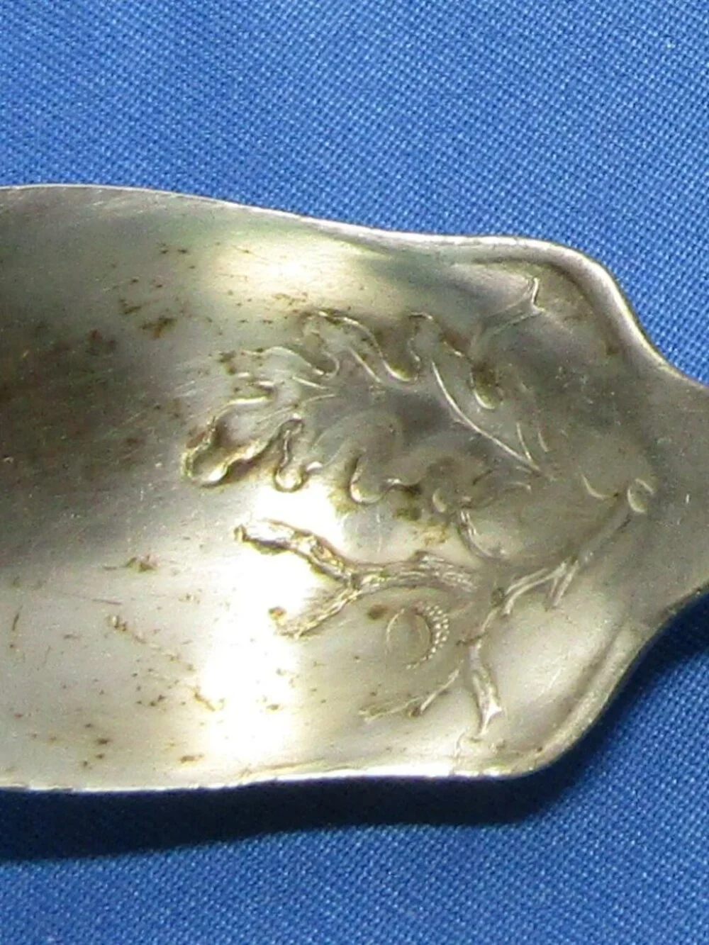 HARTER OAK Fruit Grapefruit Spoon International Rogers Art Nouveau 1906 5-7/8